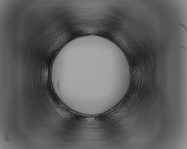 X0000092330406200710121538