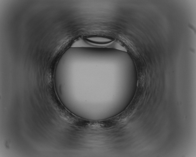 X0000092330407200710121538