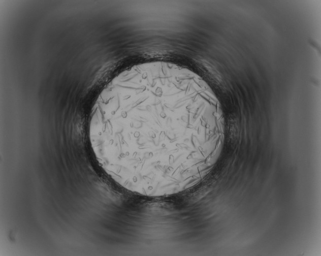X0000092330408200710121538
