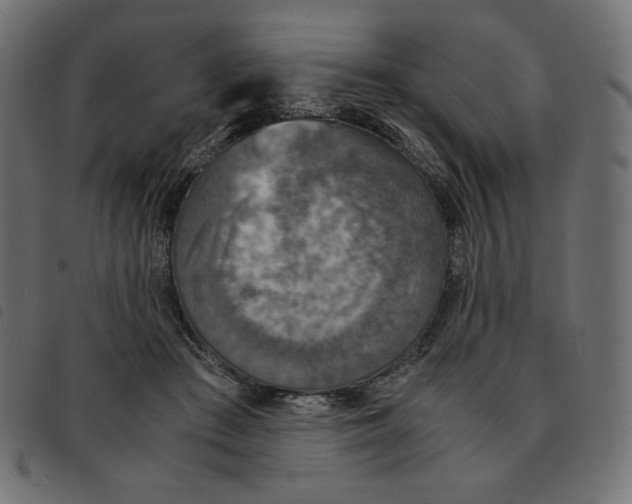 X0000092330409200710121538