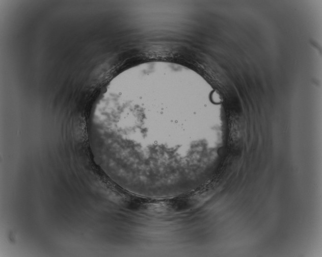 X0000092330411200710121538