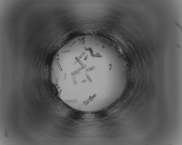 X0000092330413200710121538