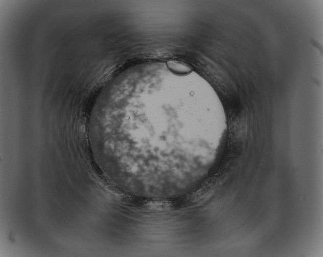 X0000092330415200710121538
