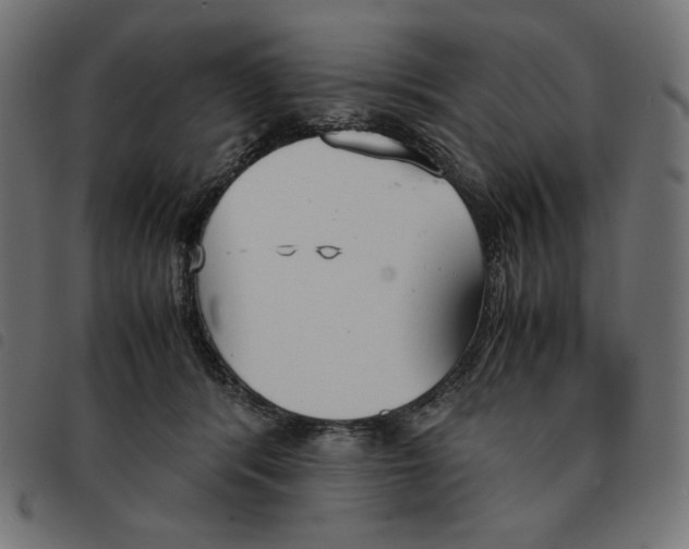 X0000092330416200710121538