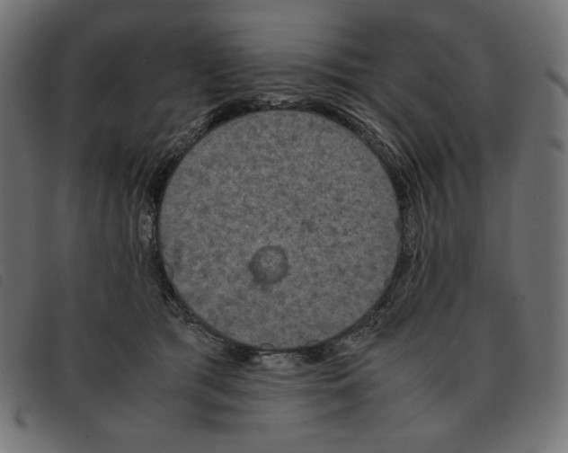 X0000092330417200710121538