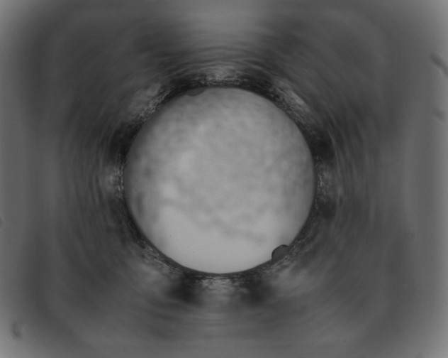 X0000092330419200710121538