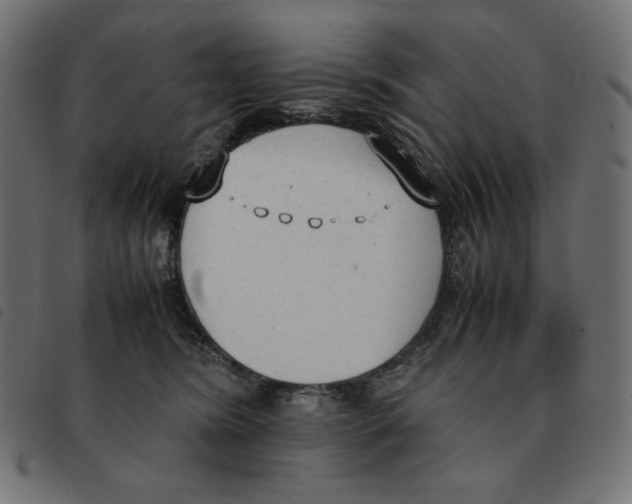 X0000092330420200710121538