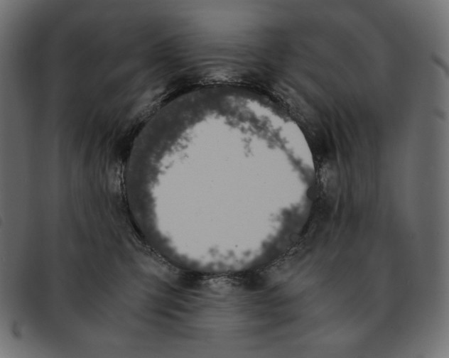 X0000092330423200710121538