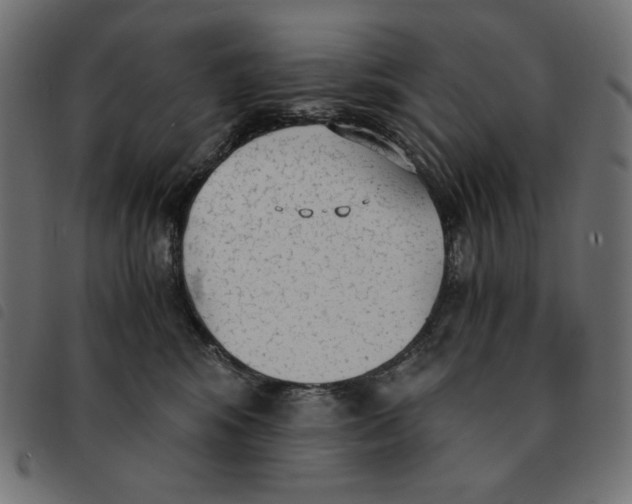 X0000092330424200710121538