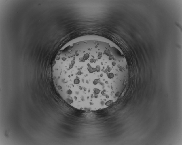 X0000092330425200710121538