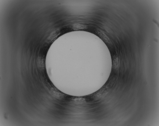 X0000092330426200710121538