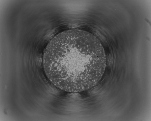 X0000092330427200710121538
