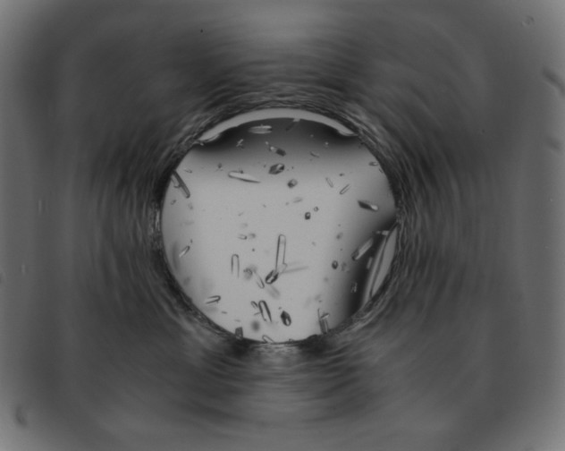 X0000092330429200710121538