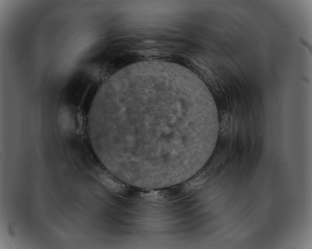 X0000092330430200710121538