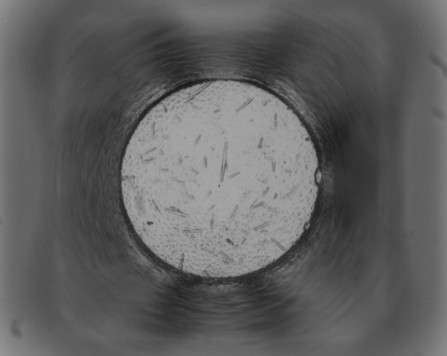 X0000092330433200710121537
