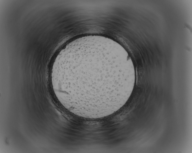X0000092330435200710121537