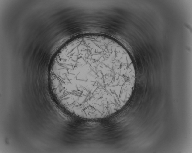 X0000092330437200710121537