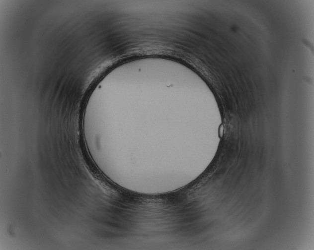 X0000092330438200710121537