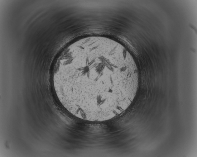 X0000092330439200710121537