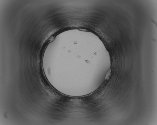 X0000092330440200710121537