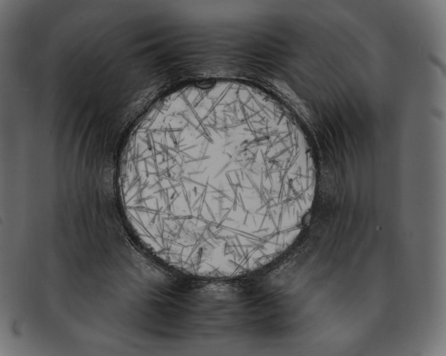 X0000092330441200710121537
