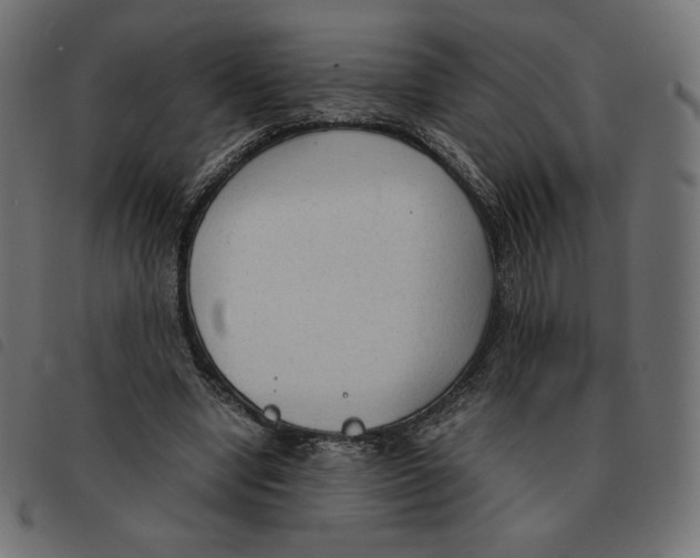 X0000092330442200710121537