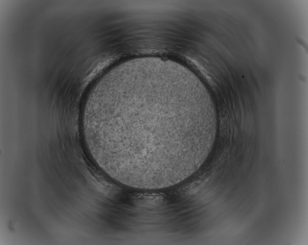 X0000092330443200710121537