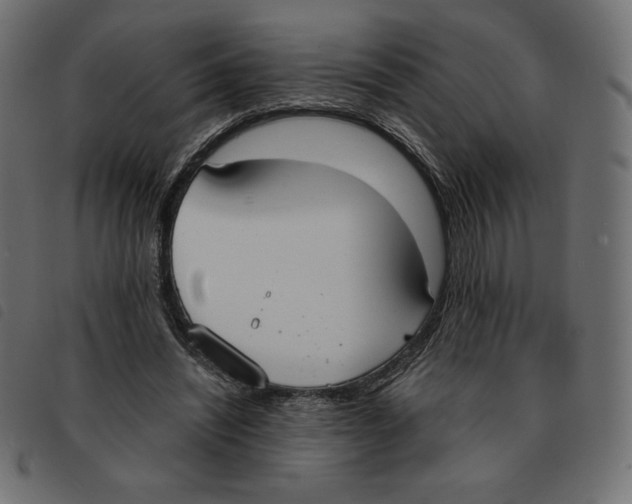 X0000092330444200710121537