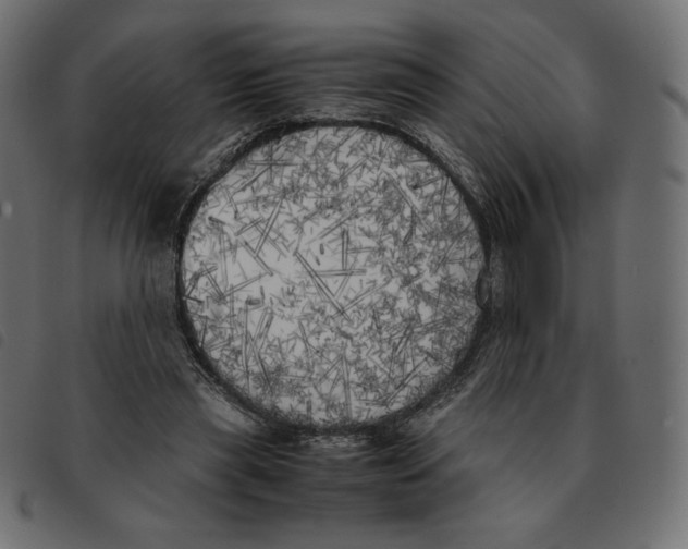 X0000092330445200710121537