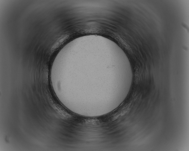 X0000092330446200710121537