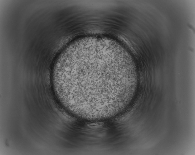 X0000092330447200710121537