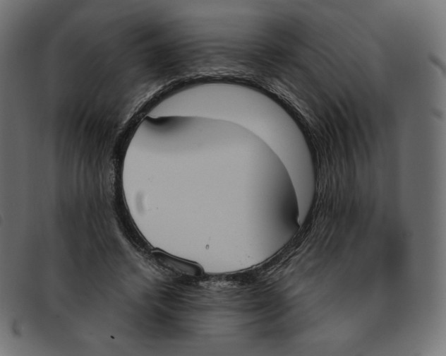 X0000092330448200710121537