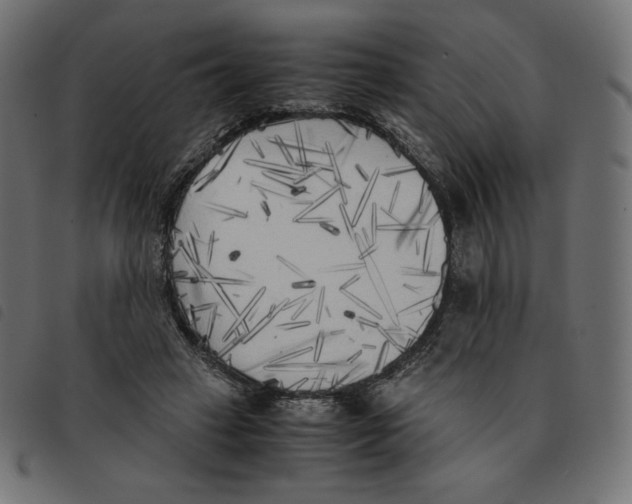 X0000092330449200710121537