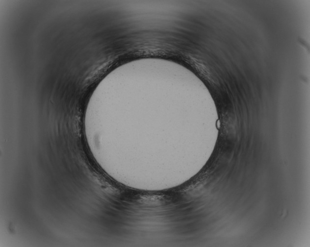 X0000092330450200710121537