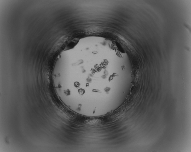 X0000092330452200710121537