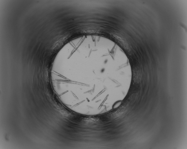 X0000092330453200710121537