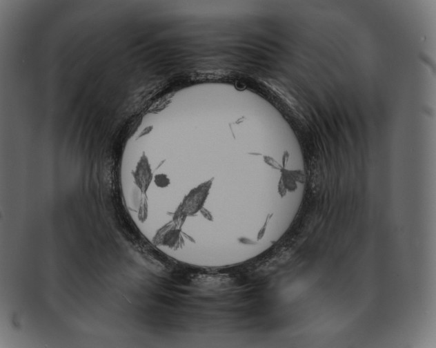 X0000092330455200710121537