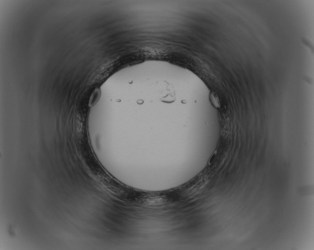 X0000092330456200710121537
