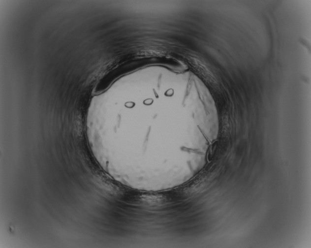 X0000092330457200710121537