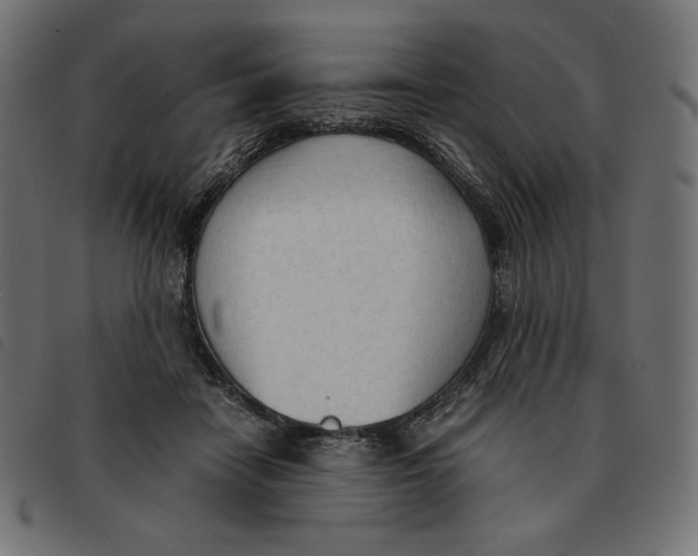 X0000092330458200710121537