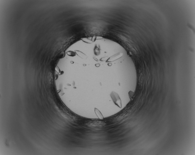 X0000092330459200710121537