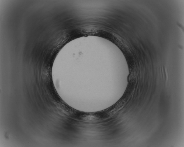 X0000092330460200710121537