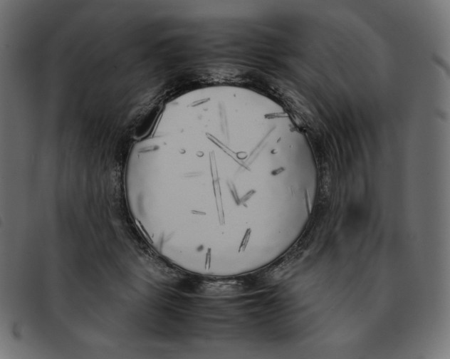 X0000092330461200710121537