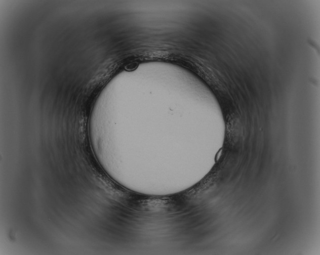 X0000092330462200710121537