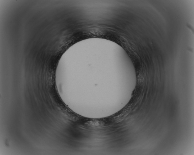X0000092330464200710121537