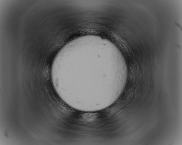 X0000092330465200710121537