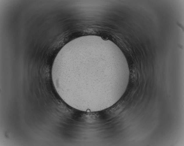 X0000092330466200710121537