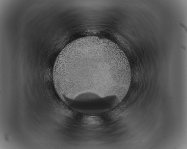 X0000092330467200710121537
