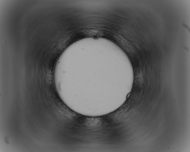 X0000092330469200710121537