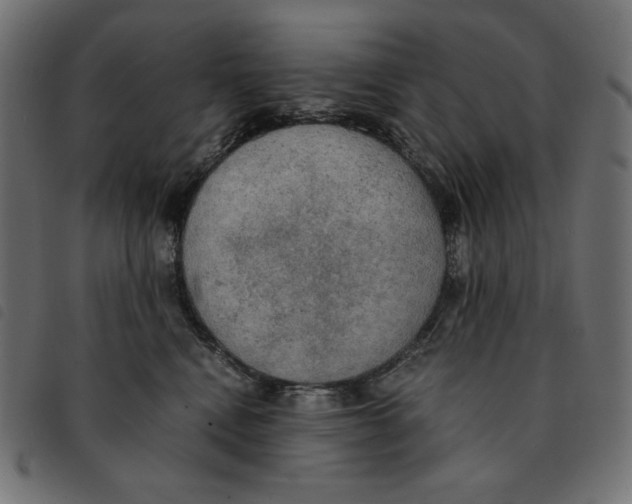 X0000092330472200710121537